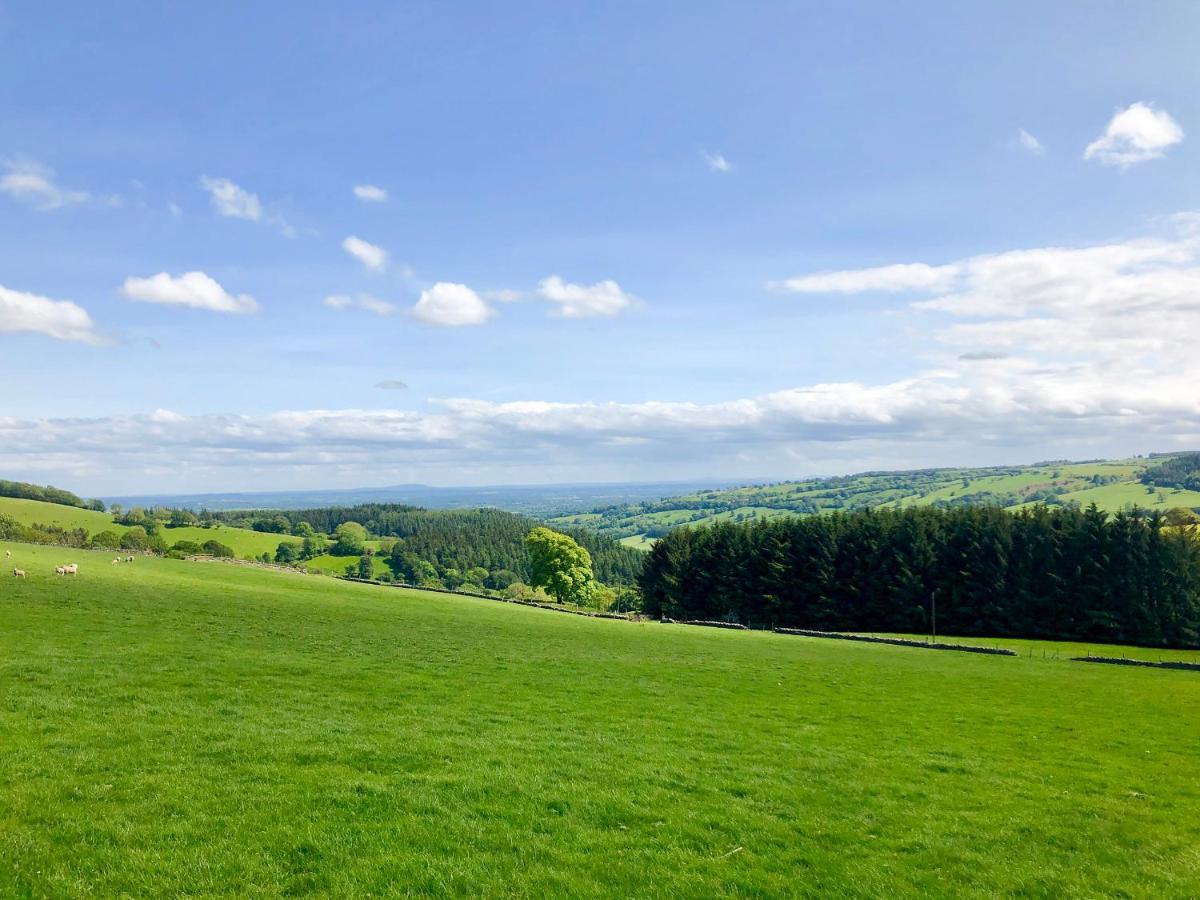Pant Dafydd Goch Villa Llansantffraid Llansantffraid Glyn Ceiriog Eksteriør billede